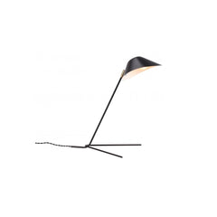 Mussla Table Lamp