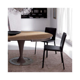 Colibri Lifestyle Olivia Dining Chair