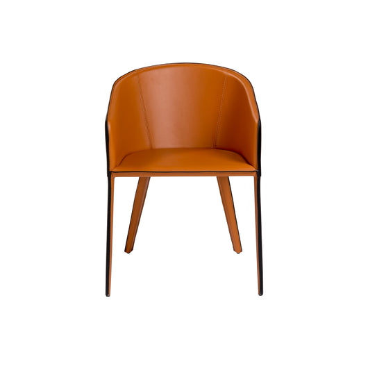 Pallas Arm Chair
