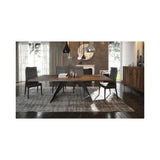 Colibri Lifestyle Amy Dining Chair