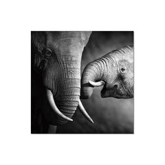 J&M Premium Acrylic Wall Art - Mama Elephant