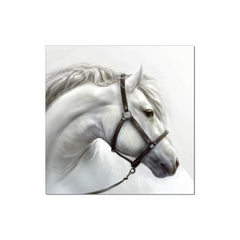 J&M Premium Acrylic Wall Art - White Horse